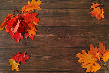 Similar image 22279867