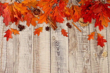 Similar image 22279868