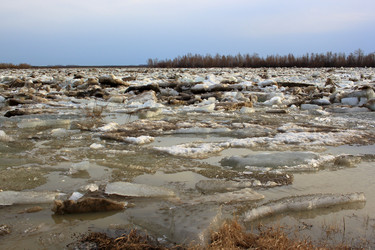 Similar image 22281386