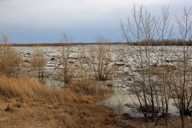 Similar image 22281389