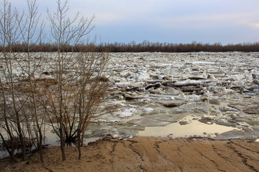 Similar image 22281390