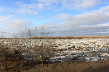 Similar image 22281396