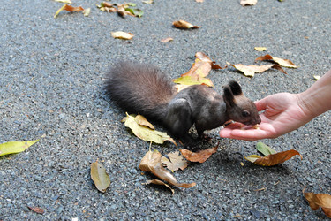 Similar image 22279723