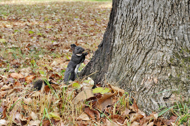 Similar image 22279724