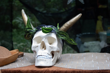 Similar image 22279825