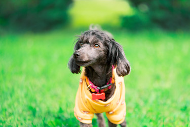 Similar image 22279726