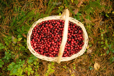 Similar image 22285547