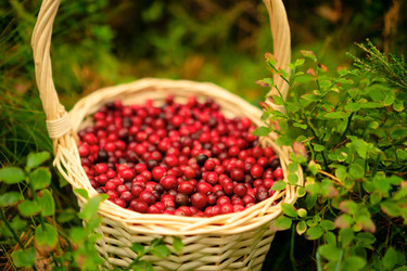 Similar image 22285548