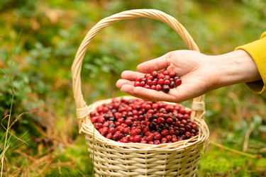 Similar image 22285551