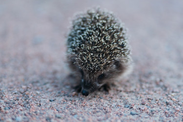 Similar image 22285562