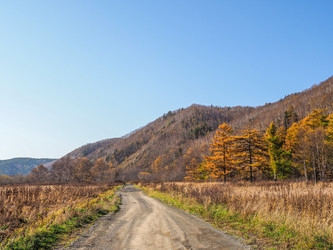 Similar image 22283096