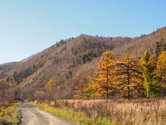 Similar image 22283098