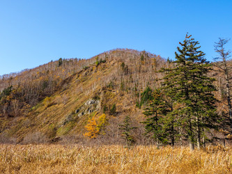 Similar image 22283099