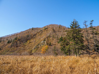 Similar image 22283101