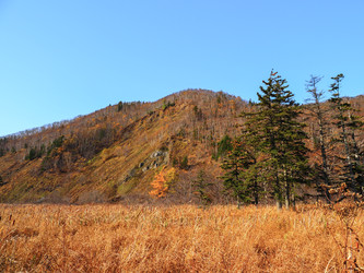 Similar image 22283102