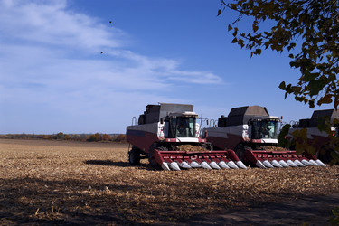 Similar image 22279731