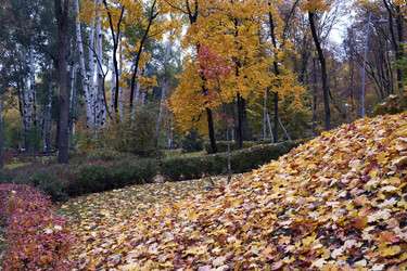 Similar image 22279732