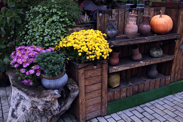 Similar image 22279734