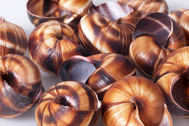 Similar image 22288884