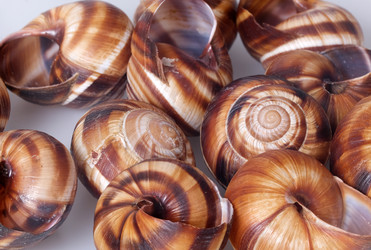 Similar image 22288920