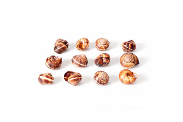 Similar image 22288923