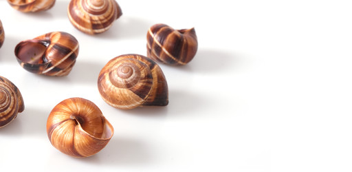 Similar image 22288924