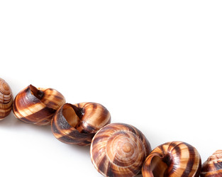 Similar image 22288928