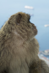 Similar image 22288929