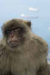 Similar image 22288930