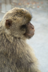 Similar image 22288931