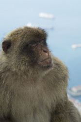 Similar image 22288932