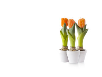 Similar image 22288936