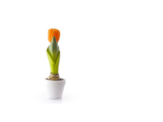 Similar image 22288937