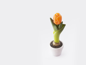 Similar image 22288938