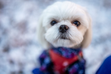 Similar image 22281405