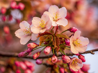 Similar image 22283114