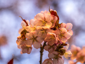 Similar image 22283115