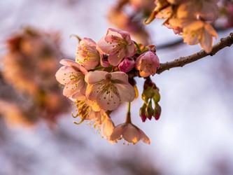 Similar image 22283116