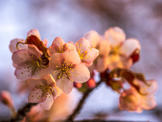 Similar image 22283117