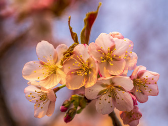 Similar image 22283118