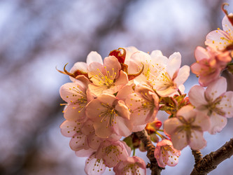 Similar image 22283119