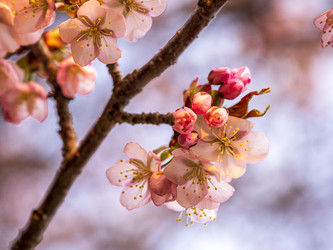 Similar image 22283120