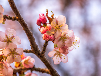 Similar image 22283121