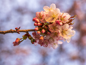 Similar image 22283122