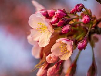 Similar image 22283123