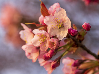 Similar image 22283124