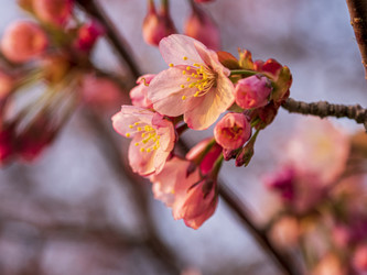 Similar image 22283125