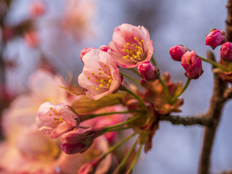 Similar image 22283126