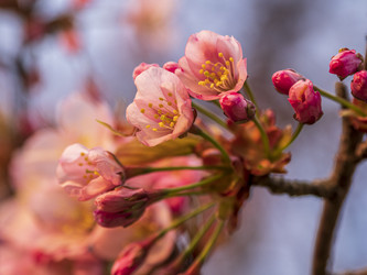 Similar image 22283127