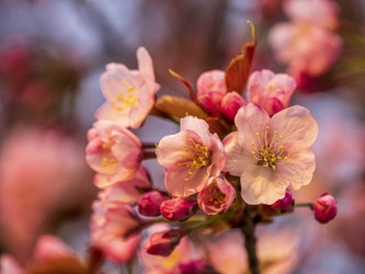 Similar image 22283128